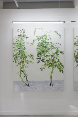 20150226 Alex Fischer 1 7 and 6000 O'Born Contemporary 47 VII 江明 Jiang Ming documentation.jpg